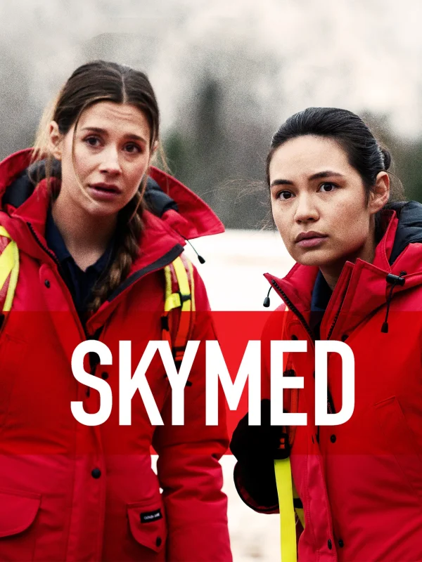 SkyMed